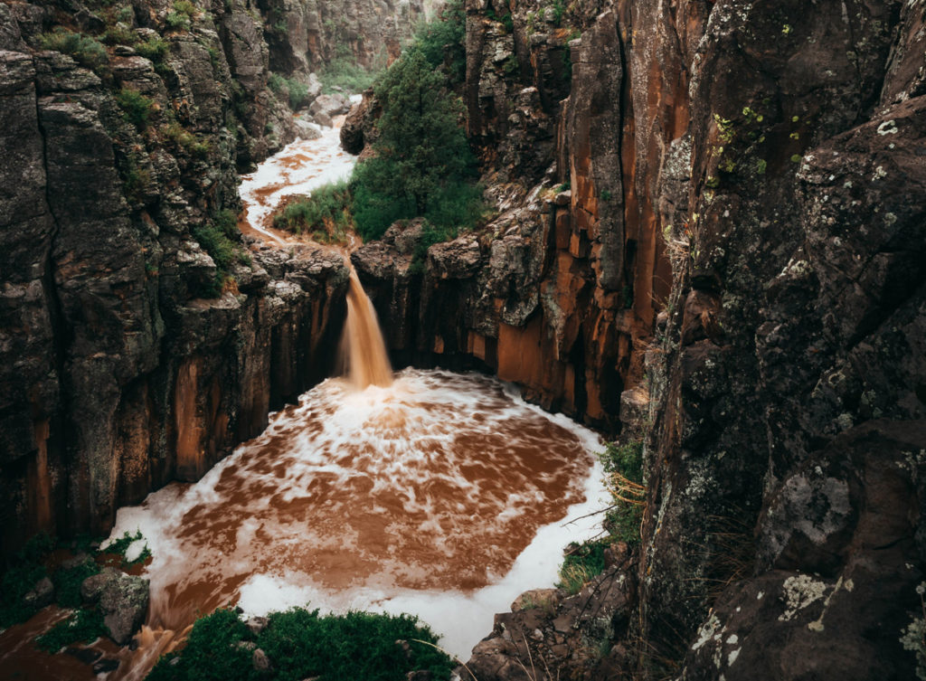 Paradise Forks Wiliams Arizona