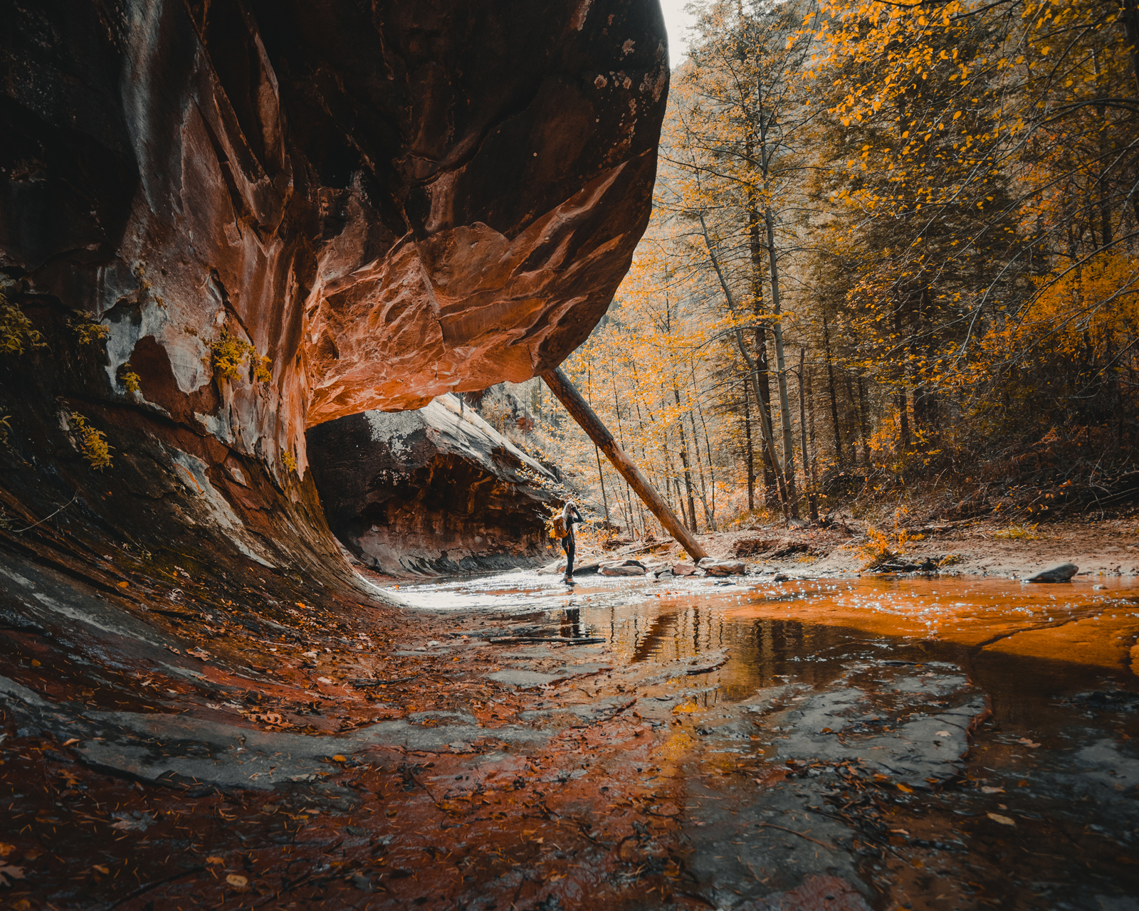 The Walks  Devils Bridge Falls