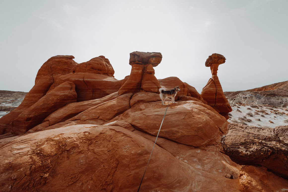 Toadstool Hoodoos Utah @_ashlee.ann_