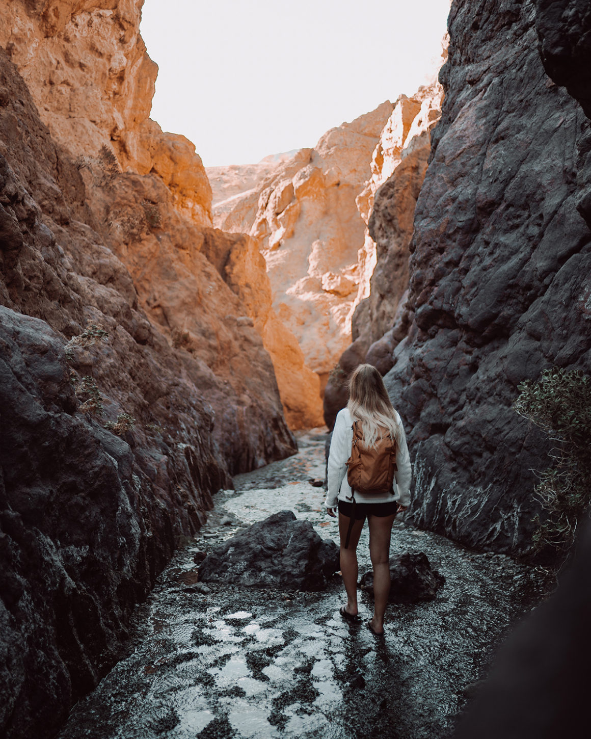 Arizona Hot Springs Colorado River Canoe Trip